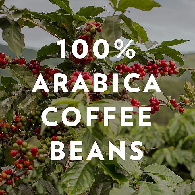 Community Coffee American Classic Ground Coffee, Medium Roast, 12 Ounce Bag (Pack of 3)
