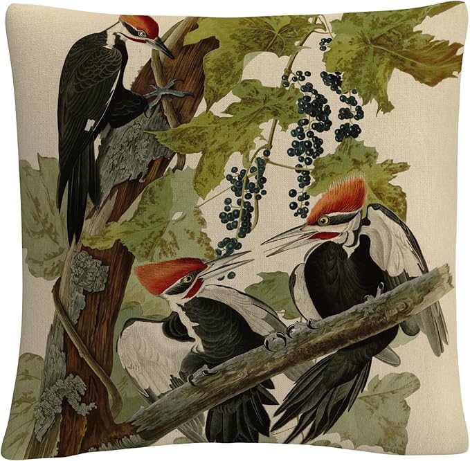 Trademark Fine Art BL01290-PIL1616 John James Audubon 'Pileated Woodpeckers' Decorative Throw Pillow, 16" x 16", Multicolor