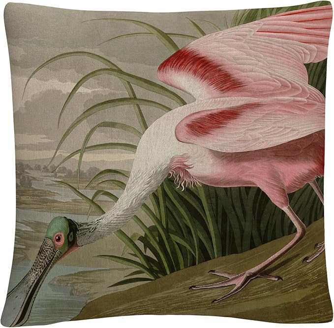 John James Audubon 'Roseate Spoonbill' 16" X 16" Decorative Throw Pillow