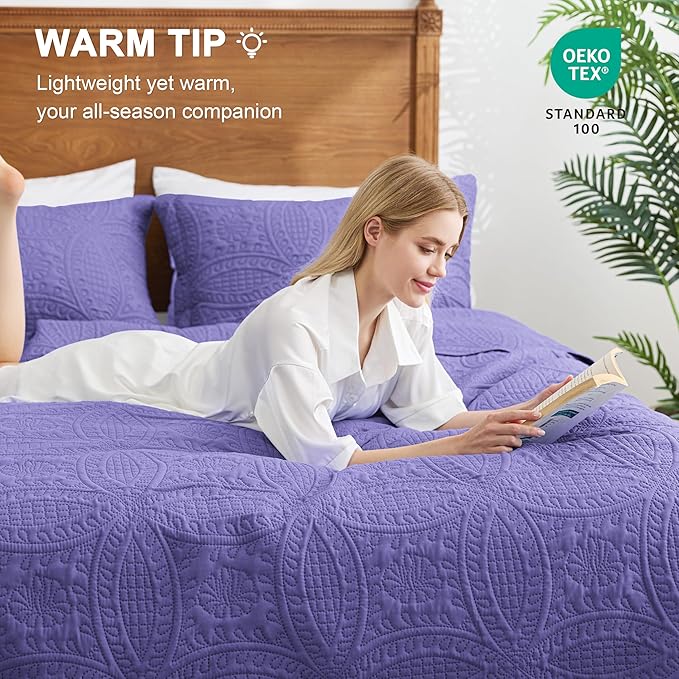 Love's cabin King Size Quilt Bedding Set Deep Purple Bedspreads - Bed Summer Lightweight Bedspread Comforter - Coin Pattern Bedding Coverlet for All Season - 3 Pieces (1 Quilt, 2 Pillow Shams)