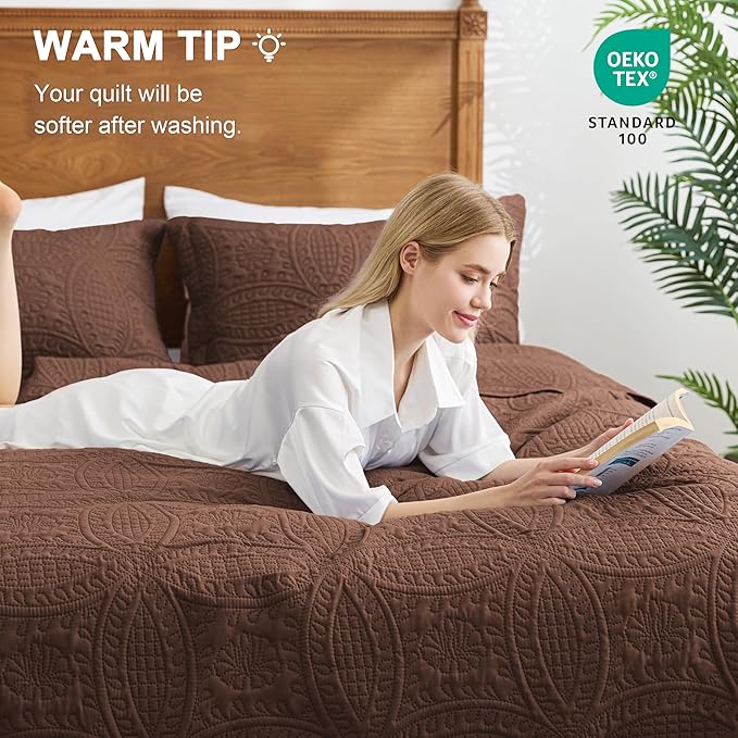 Love's cabin Oversized King Size Quilt Bedding Set Brown Bedspreads - Oversized King Lightweight Bedspread Comforter - Coin Pattern Coverlet for All Season - 3 Pieces (1 Quilt, 2 Pillow Shams)