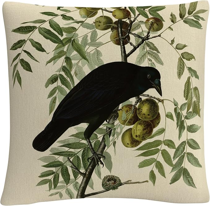 Trademark Fine Art BL01255-PIL1616 John James Audubon 'American Crow' Decorative Throw Pillow, 16" x 16", Multicolor