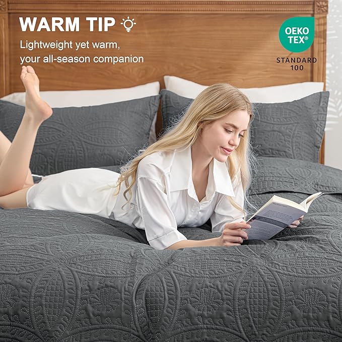Love's cabin Quilts for Queen Bed Dark Grey Bedspreads Bedding Set - Lightweight Bedspread Comforter - Coin Pattern Bedding Coverlet for All Season - 3 Pieces (1 Quilt, 2 Pillow Shams)