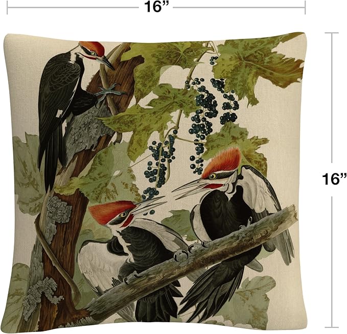 Trademark Fine Art BL01290-PIL1616 John James Audubon 'Pileated Woodpeckers' Decorative Throw Pillow, 16" x 16", Multicolor